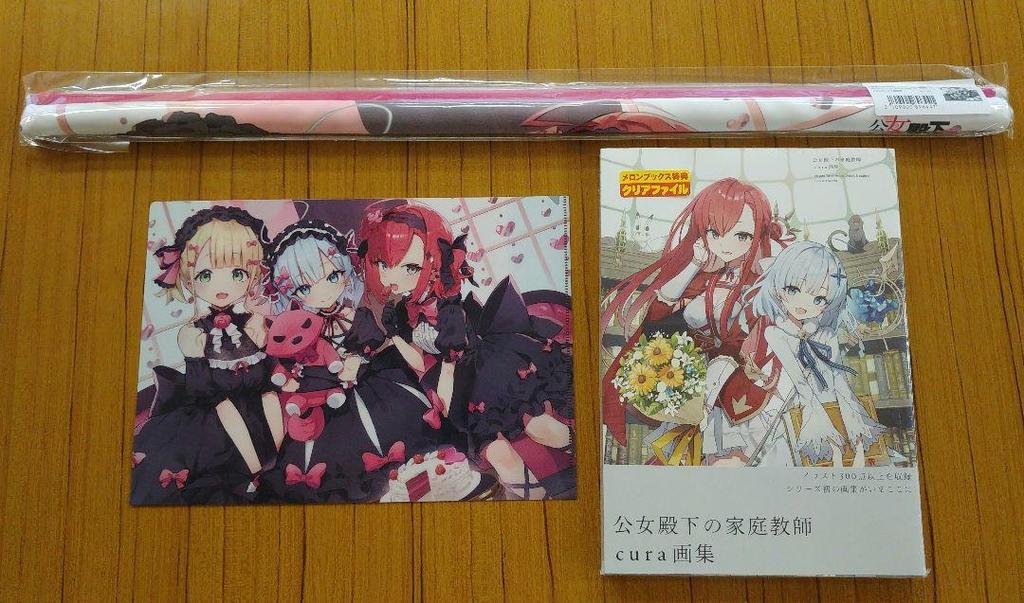 [USED] Her Highness' Private Tutor Cura Art Book Melon Books Limited Edition B2 Tapestry Clear File