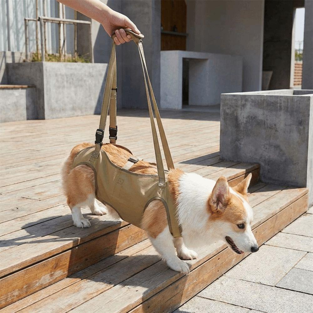 Adjustable Pet Auxiliary Vest Soft Lining Full Body Support Support Harness Mobility Aid Thicken Handle Dog Lift Strap