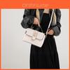 Trendy Winter Small Square Handbag For Women In Chic Colors With Unique Design
