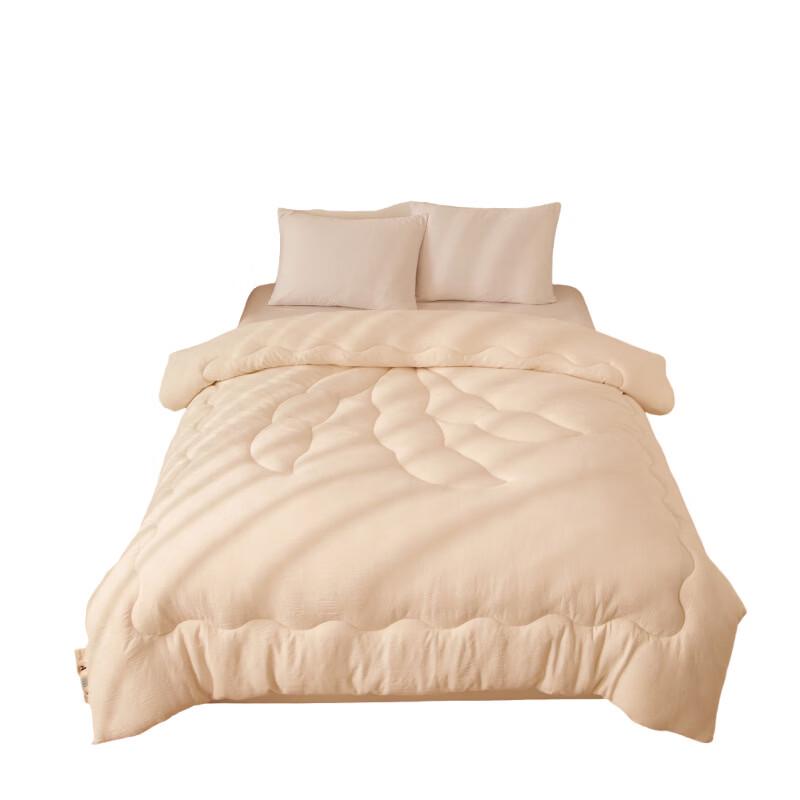 Brangdy Soybean Fiber All-Season Quilt