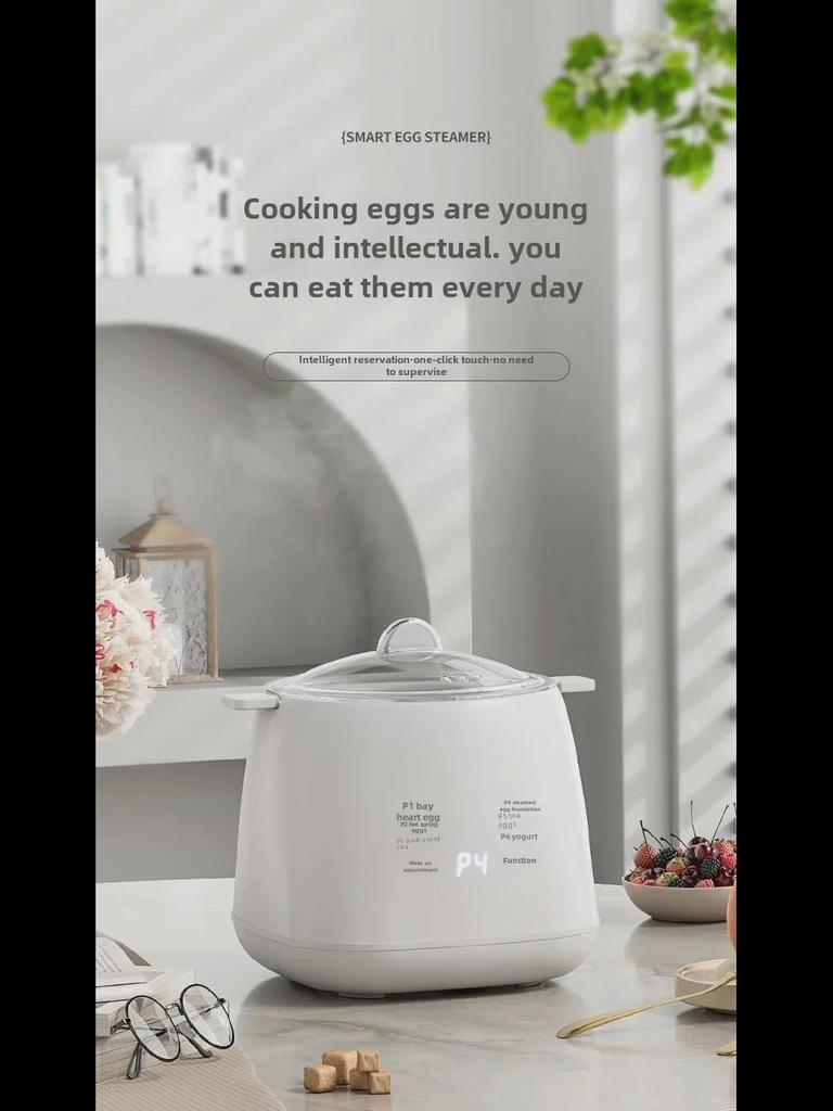 Kompakter automatischer Eierkocher mit Timer und automatischer Abschaltung