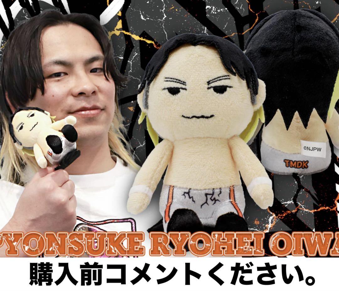 

[USED] Ryohei Oiwa Pyonsuke New Japan Pro Wrestling Figure Pro Wrestling Noah NOAH