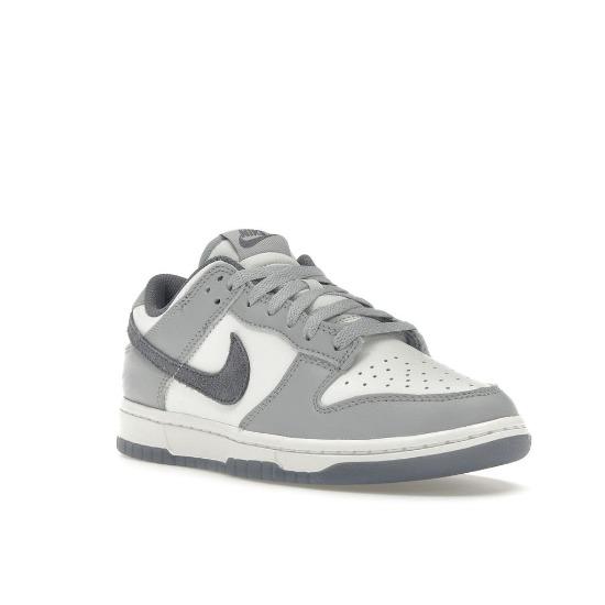 Nike Dunk Low SE Light Carbon Men Sneakers Grey FJ4188-100