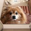 Adorable Pomeranian Door Mat Cute Animal Pattern Soft Non-Slip Entryway Rug for Front Door Living Room Hallway Floor Decor