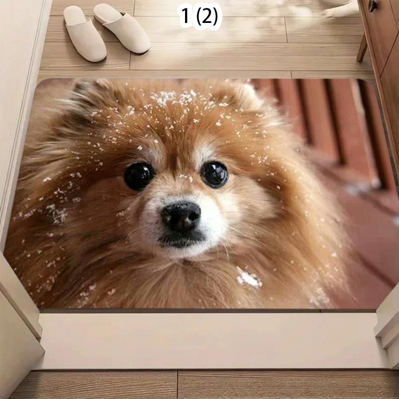 Adorable Pomeranian Door Mat Cute Animal Pattern Soft Non-Slip Entryway Rug for Front Door Living Room Hallway Floor Decor