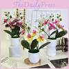 Butterfly Orchid 3d Faux Plant Decor With Plastic Material For Home And Event Use