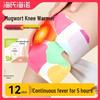 Haishi Hainuo Wormwood Knee Warming Patches (12 Count)