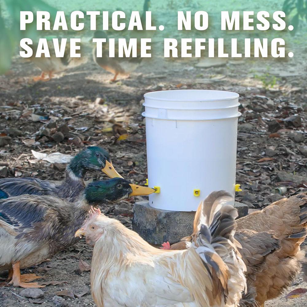 

10 Horizontal Poultry Water Nipples Drinker Chicken Waterer Chicks Hen Quail