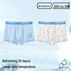 Teen Boys' Summer Ice Silk Boxer Briefs - Flat Angle Style