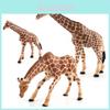 Realistic Pvc Giraffe Family Models For Collectors And Decor Featuring Three Unique Styles