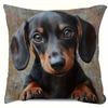 Dachshund Print Throw Pillow Cover 45X45Cm Square Cushion Case With Zipper For Home Sofa, Living Room, Office Decor