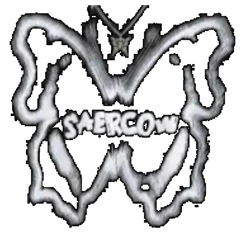 Oversized T Shirt Black Butterfly Print With Saercow Text Casual Streetwear Fashion Women Summer Top