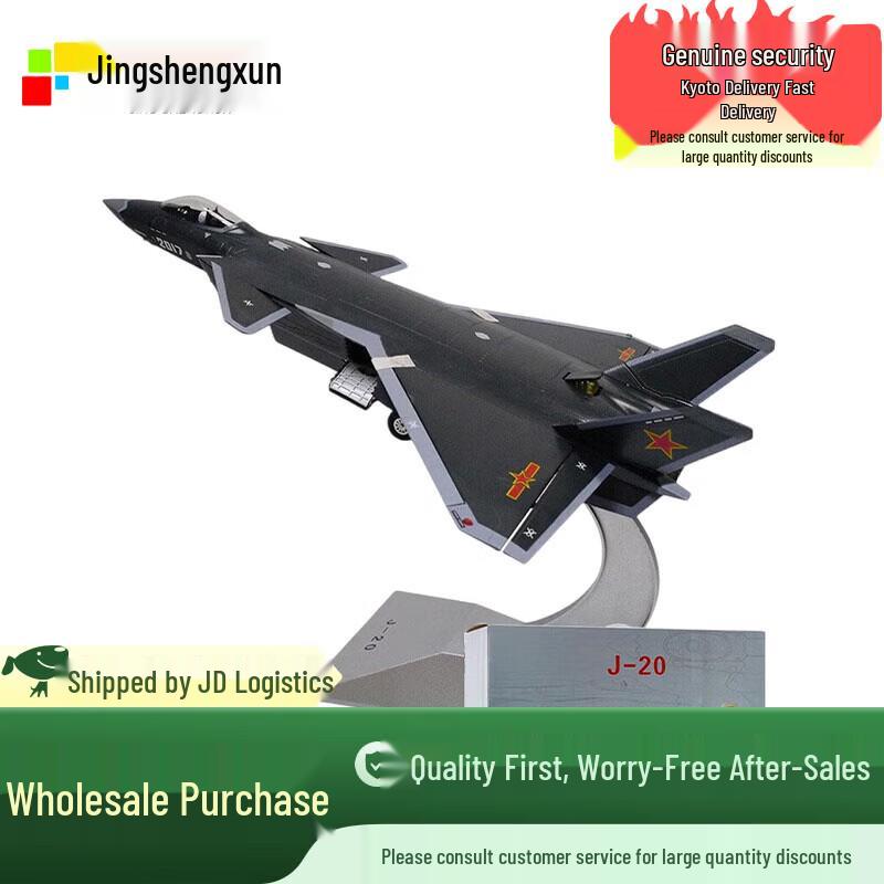 J-20 Stealth Fighter Aircraft Model