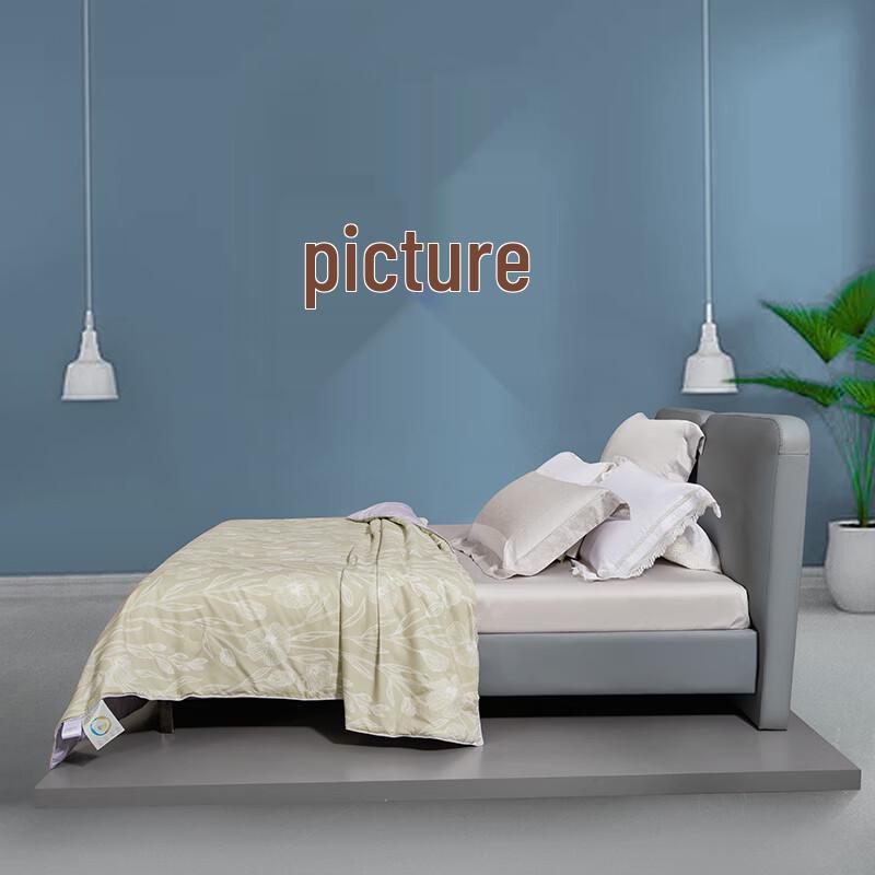 

Mercury Home DH ZhuiCui Tussah Silk Quilt