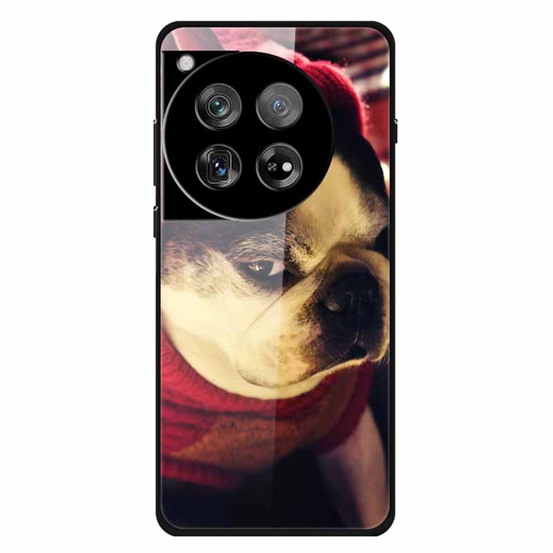 For Oneplus 12 12R Case Tempered Glass Luxury Hard Back Cover for Oneplus 12 12RCases Space Soft Bumpers for One Plus 12 5G Wolf