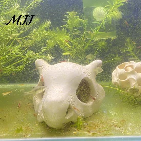 Crâne Habitat Animal Aquatique Décoration Aquarium Grotte, Cachette Durable Réaliste en PLA Abri Grotte Unique pour Aquarium, Ornement Imprimé en 3D pour Aménagement Paysager
