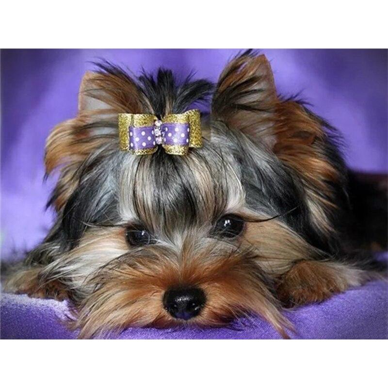 

5D DIY алмазная живопись собака вышивка крестом йоркширский терьер Алмазная вышивка мозаика полный круглый/квадратный дрель домашний декор художественный подарок Full Round 20x30CM