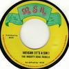 7inch Record MIGHTY SOUL REBELS  Vatican Its A Sin NONE MSR 1977 UK Reggae Ska  Dub Used