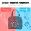 6L Portable Insulation Bag Lunch Tote Bag Thermal Cooler Handbag Reusable Waterproof Large Capacity Leak proof for