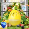 Lemon Refrigerator Deodorizer & Purifier: Odor Remover, Sterilizer, Mold Cleaner, Freshness Preserver.