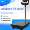 ERP Computer Bench Scale with RS232 Port