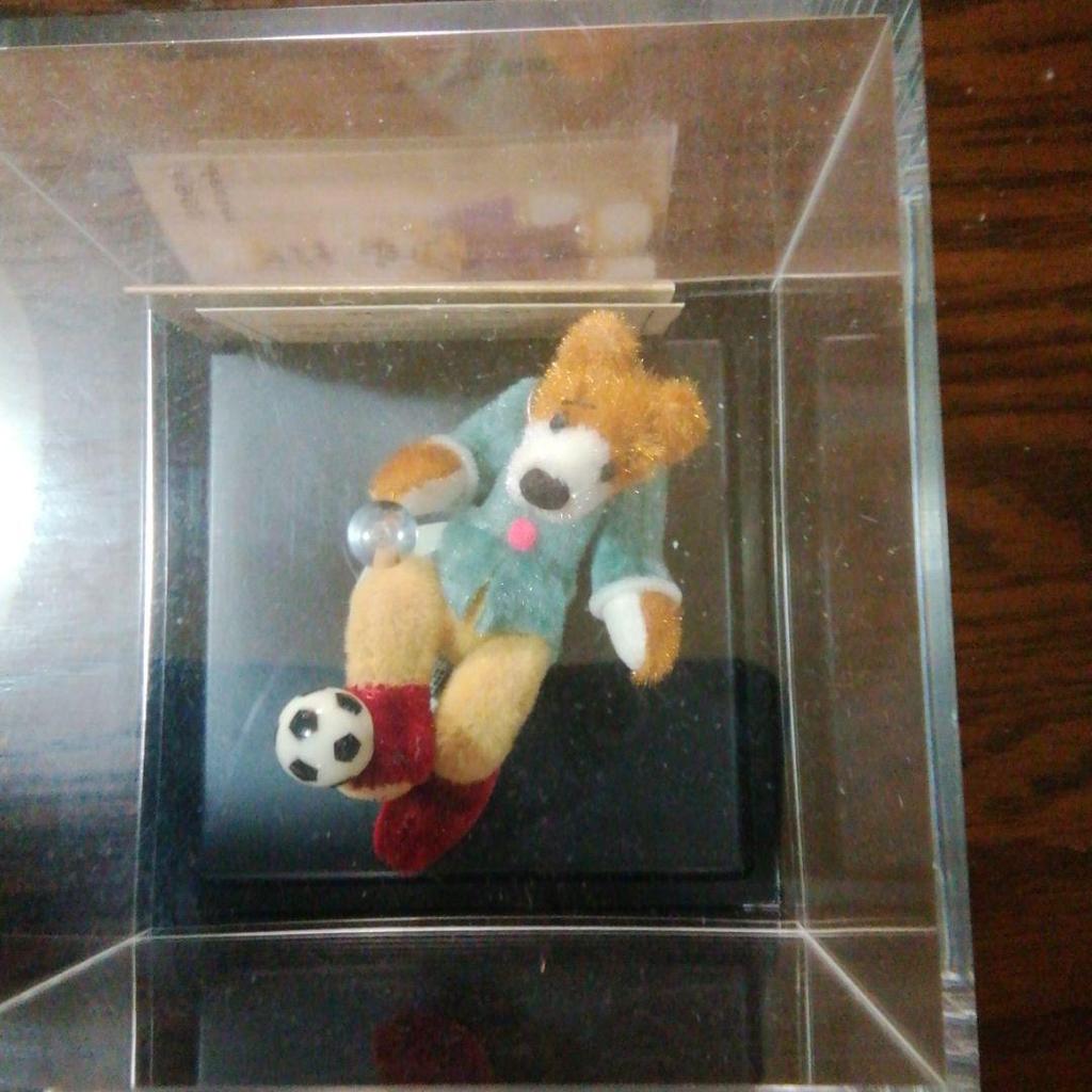 [USED] Teddy Bear (Soccer) Limited Quantity