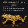 Archnote Tiger Feng Golden Golden Good Career Protection from Lucky Gold Figurine, Shui, Ornament, Unwavering ProtectionLarge, Fortune, Success,