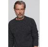 B SIDES DARWIN Sweater