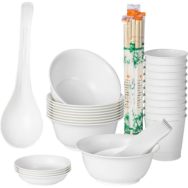 Temeiju Disposable Tableware & Cutlery Sets