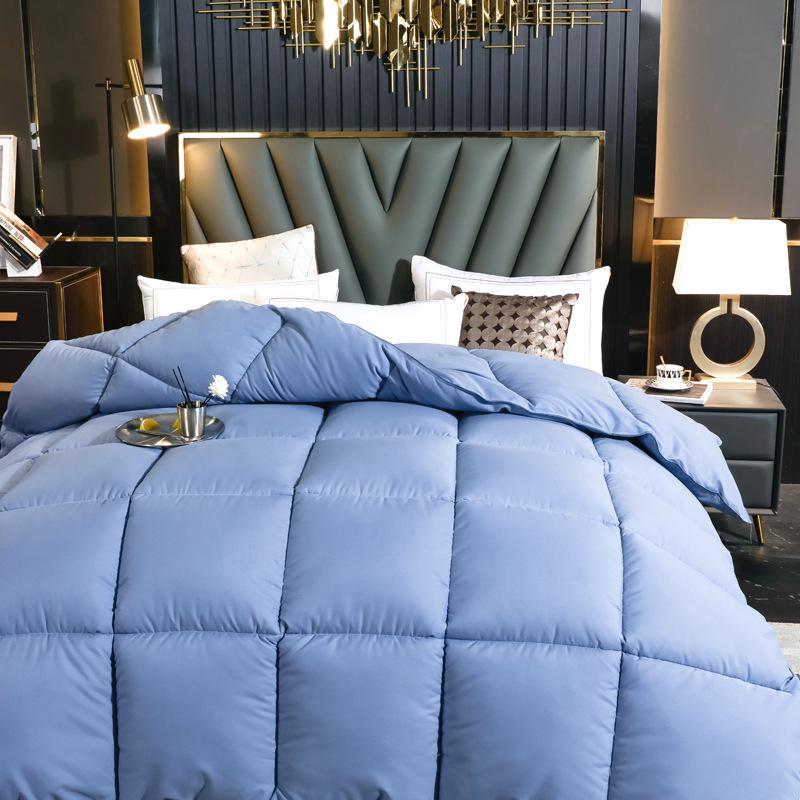 Hotel Luxury Microfiber Quilt - Thick Warm Winter & Spring/Autumn Comforter for All Seasons