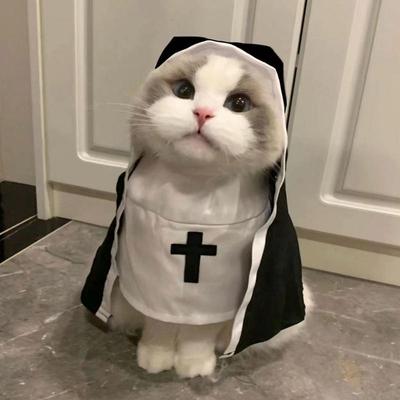 Dreidimensionale Modellierung Nonnenstil Kopfbedeckung Verkleiden Cosplay Haustierkostümset Halloween Hund Verwandlungskleidung