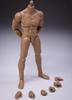 HiPlay CH 1/12 Male Ch001A Body, Super Articulated Figure Doll Replacement Parts