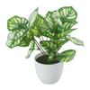 Flower Foliage  Potted Bonsai Office Decor