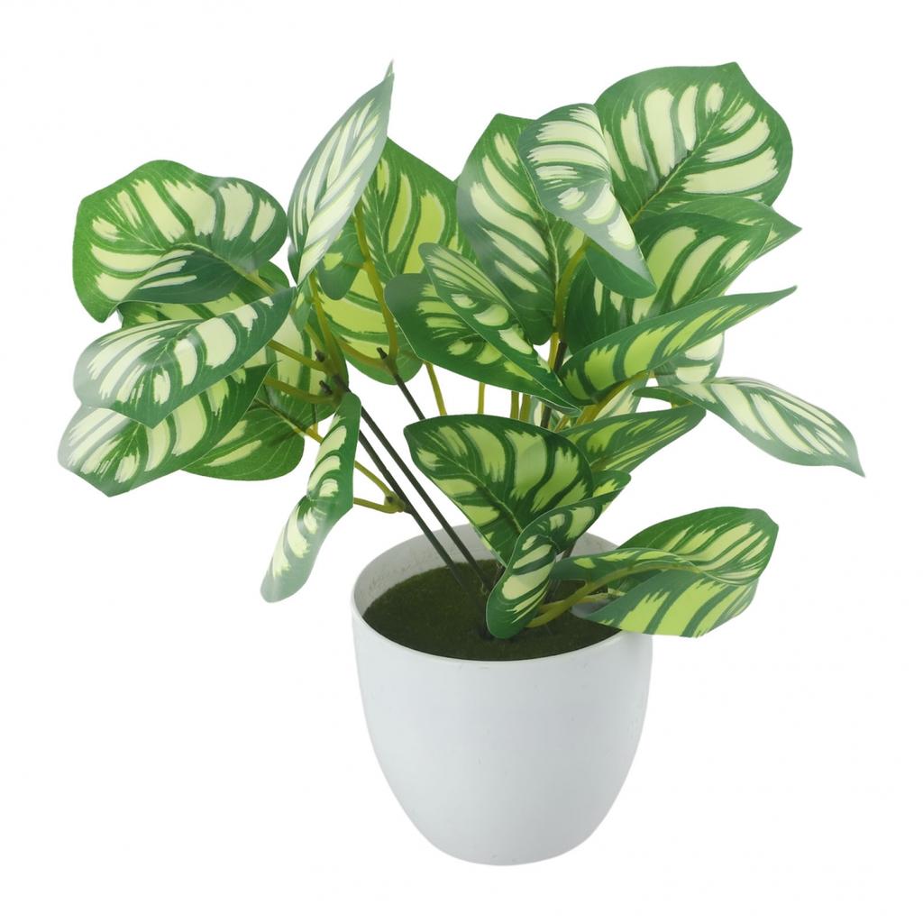 Flower Foliage  Potted Bonsai Office Decor
