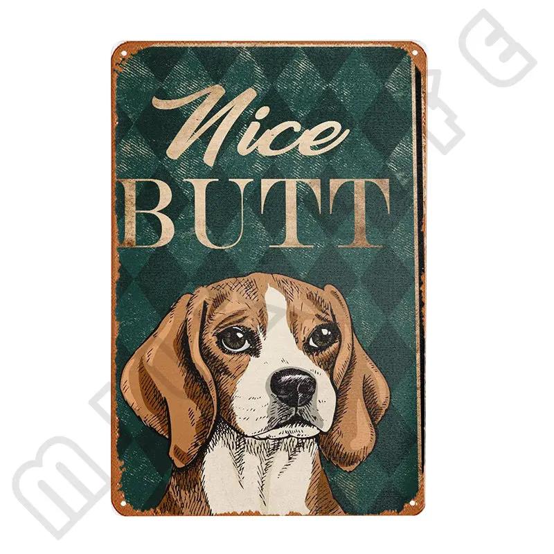 Funny Beagle Dog Metal Tin Sign Plate Retro Art for Bathroom Kitchen Restaurant Dessert Shop Pet Shop Farmhouse Home Room Decor