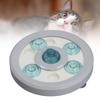 Pet Slow Food Bowl Multifunctional   Proof ABS Slow Feeder Dog Bowl for Cat and Hamster