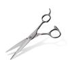 Ukon Hairdressing Dry Cutting Made In Professional Stainless for Men and Women Scissors, Only, Japan, Grade, Steel, Self-Cutting, Bangs,
