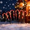 Waterproof LED Solar Crutch Light for Lawn and Garden Holiday Decoration