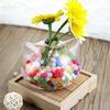 Clear Glass Vase Cats for Head Shaped Vases Flower Vases for Buds Cuttings Greenery Plant Container Room Ornaments