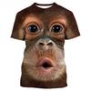 New Fashion Parody Gorilla Fun Monkey 3D Printed T-shirt Men's and Women's Summer Casual Short Sleeved Animal Shirt Top