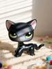 Pet Shop # 336, lps toys, Shorthair cat, gift for girl (With packaging bag)