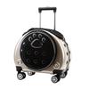 Carrying Bag for Cats, Pet Bubble Small Dogs, Rabbit, Vent Cats , Golden