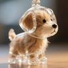 Transparent Fur Storage Box For Puppies Cute Animal Fur Ball Storage Pendant Decoration Commemorative Dust Box Gift