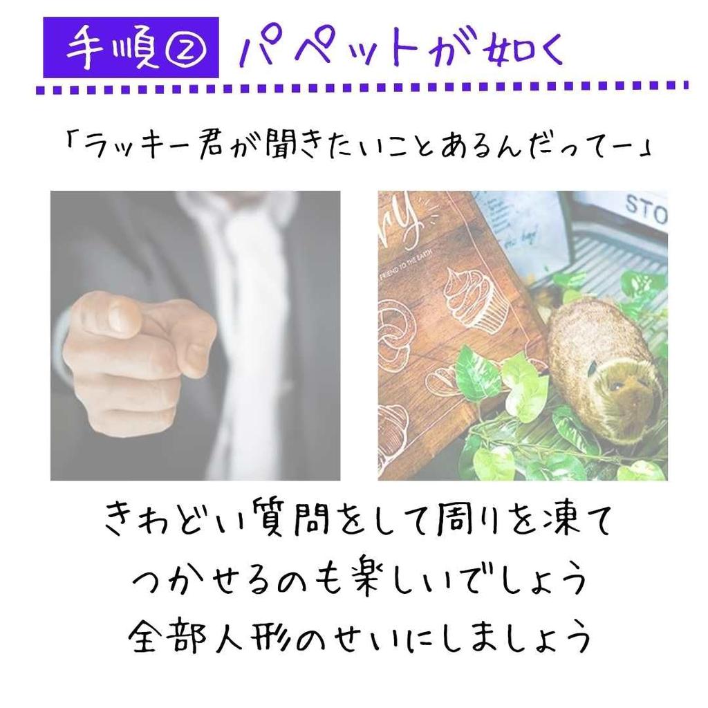 Magic Raccoon Spring Pet Magic Cute Raccoon Plush Toy Tricks, Lucky-kun, Maggie, Trick, Animal,