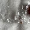 [USED] Death Note Nendoroid Petite L Mystery Angel ver. Secret Box Included