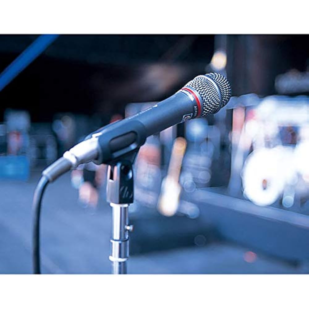 Audio-Technica AE6100 Dynamic Microphone XLR Ultra Unidirectional Microphone Vocal Live DTM Micro...