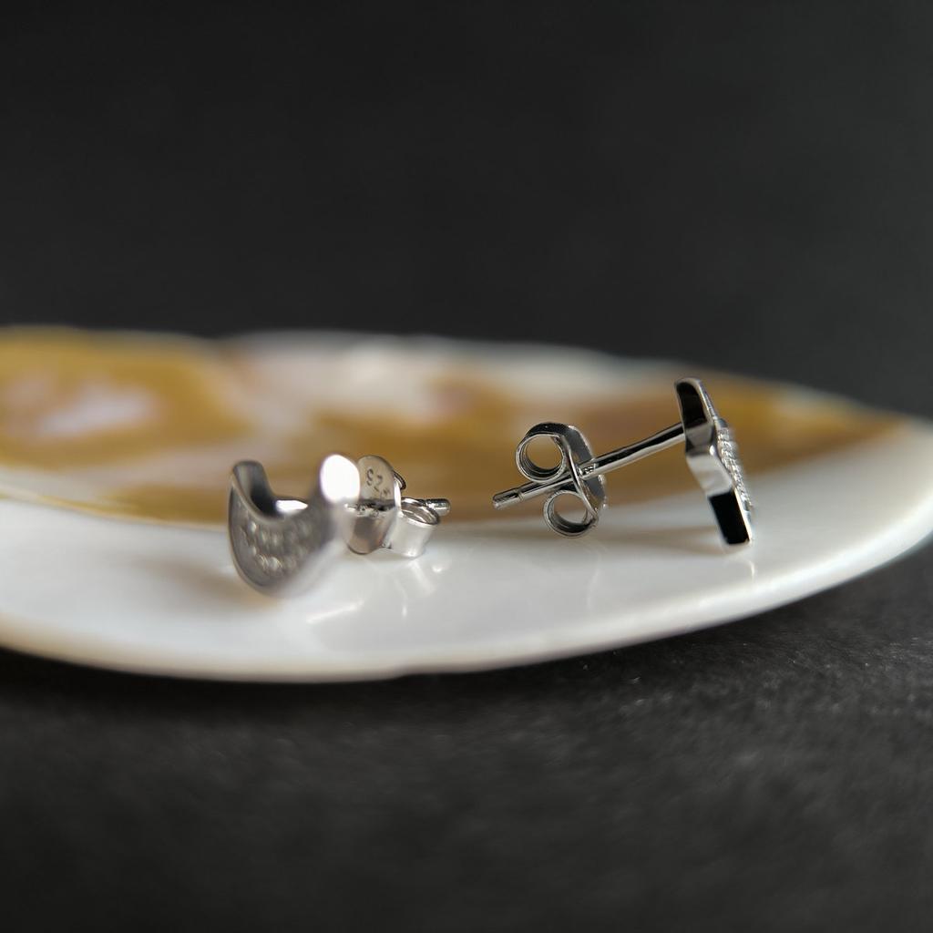 Orecchini in argento con zirconi cubici (2209058)