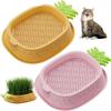 Seed Sprouting Trays Planting Hydroponics Boxes Soilless Hydroponic Cat Grass Case  Pet Supplies