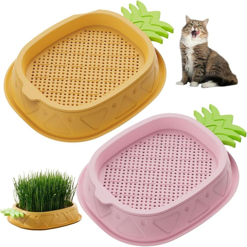 Seed Sprouting Trays Planting Hydroponics Boxes Soilless Hydroponic Cat Grass Case Pet Supplies