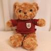 25cm Cute Wear Sweater Teddy Bear Plush Toys Adorable Stuffed Animal with Soft Twisted Teddy Bear Perfect Gift for Girls or Kids